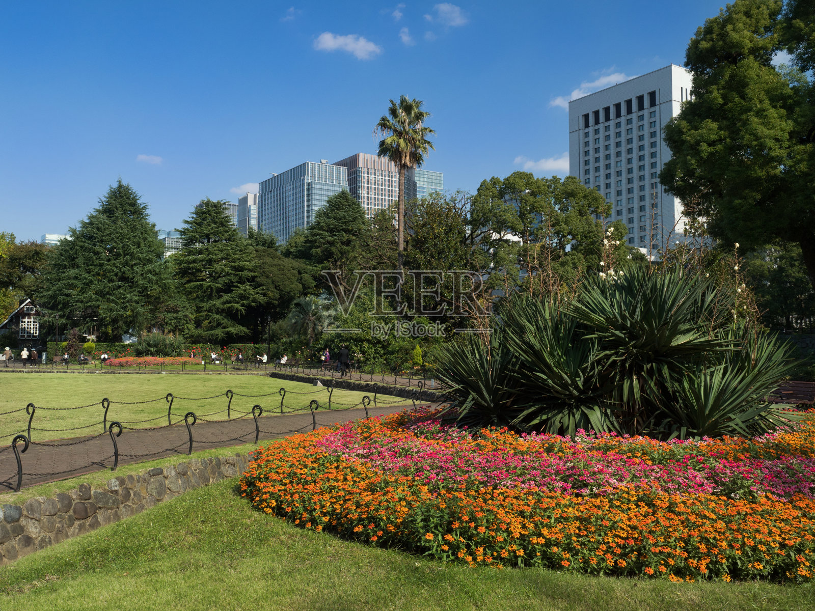 东京的日比谷公园照片摄影图片