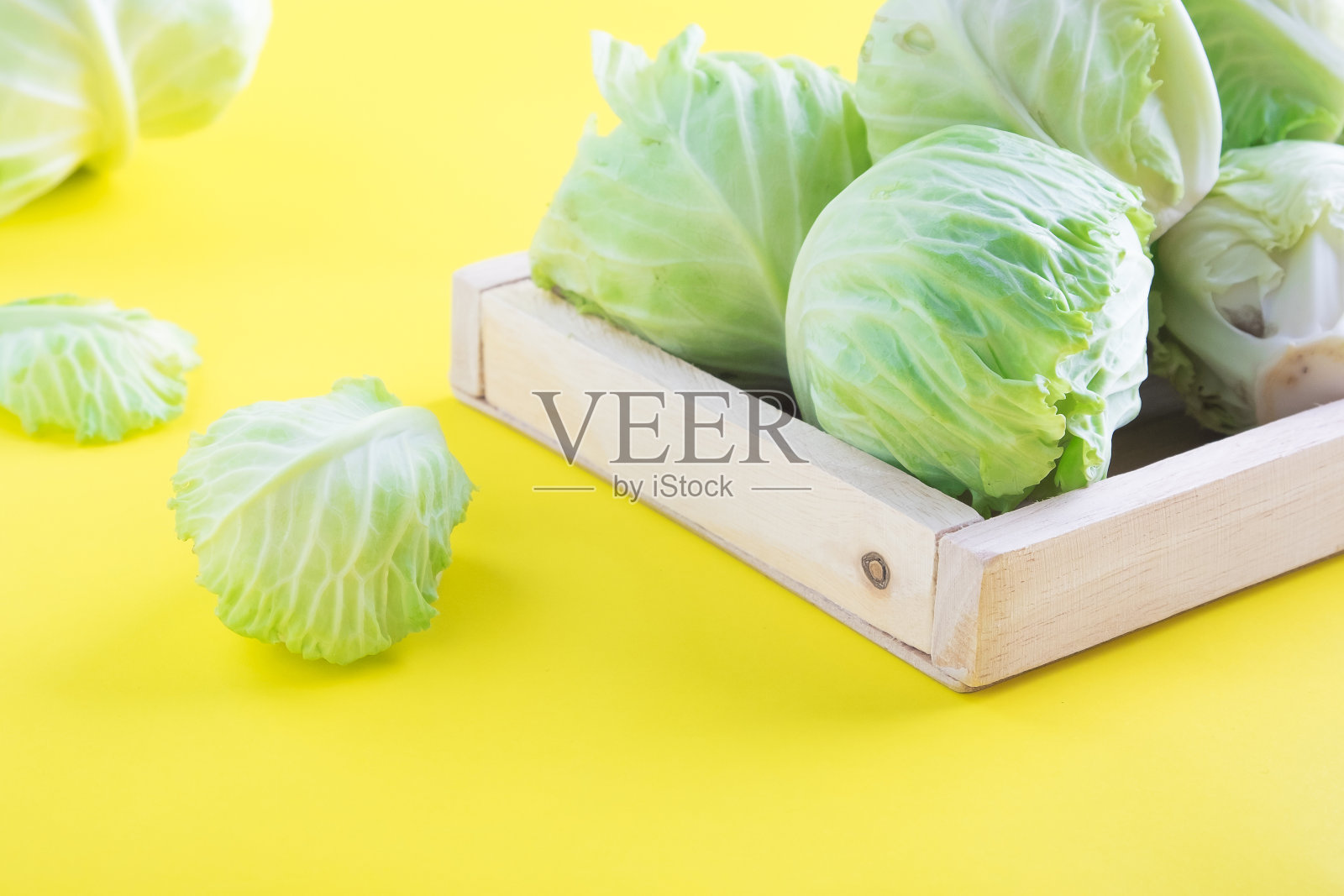 新鲜的卷心菜照片摄影图片