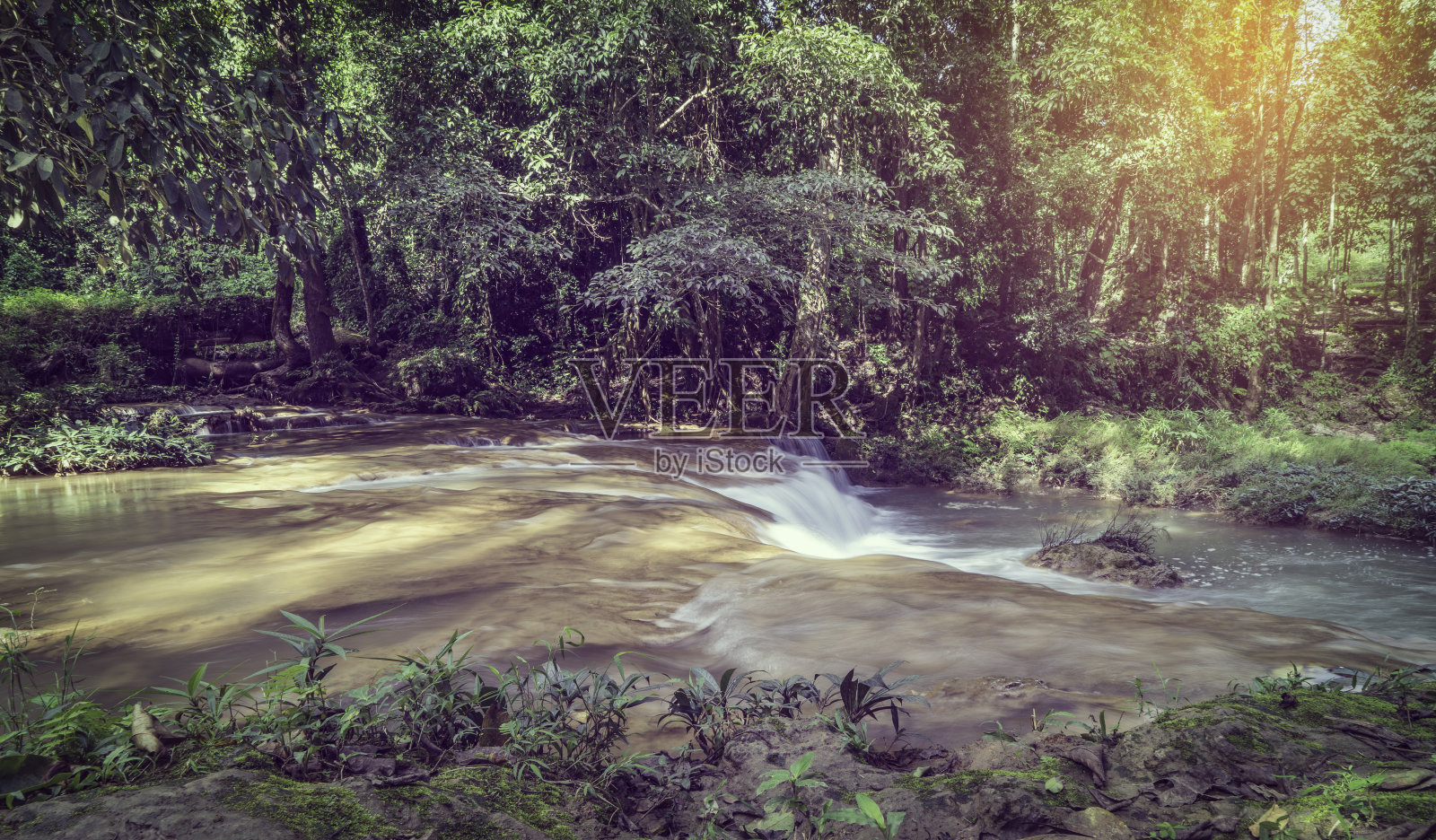 热带森林中的小瀑布照片摄影图片