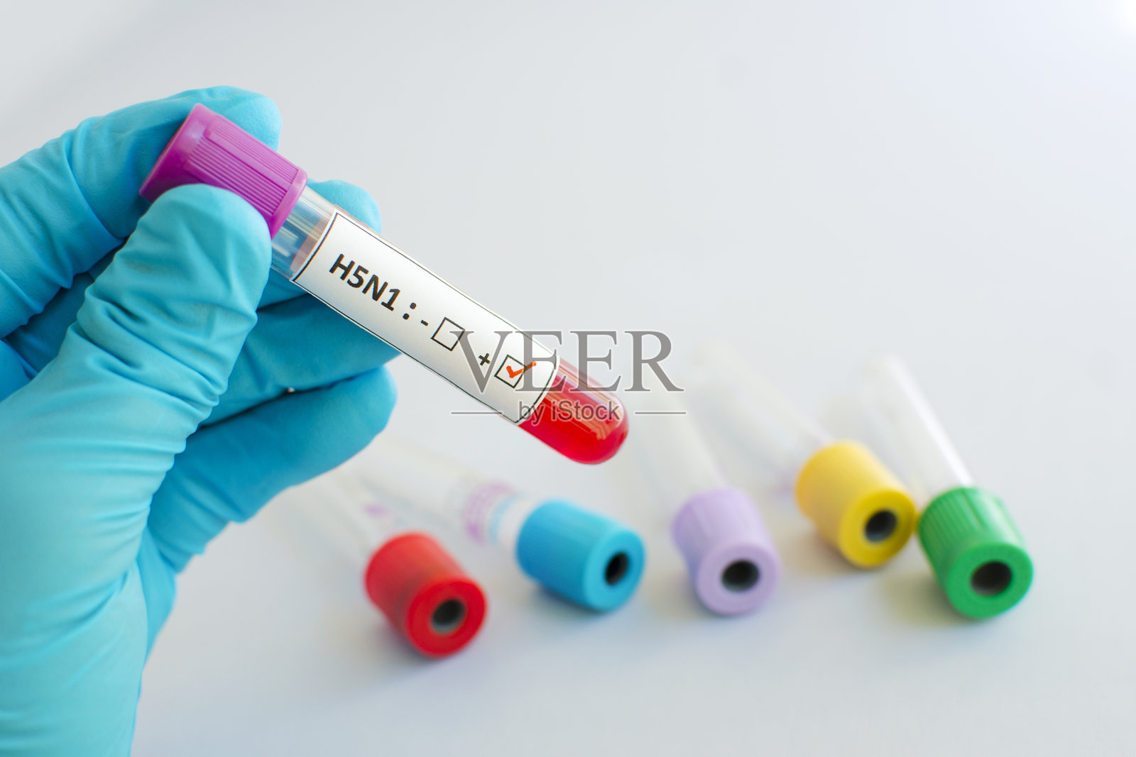 H5N1流感病毒照片摄影图片