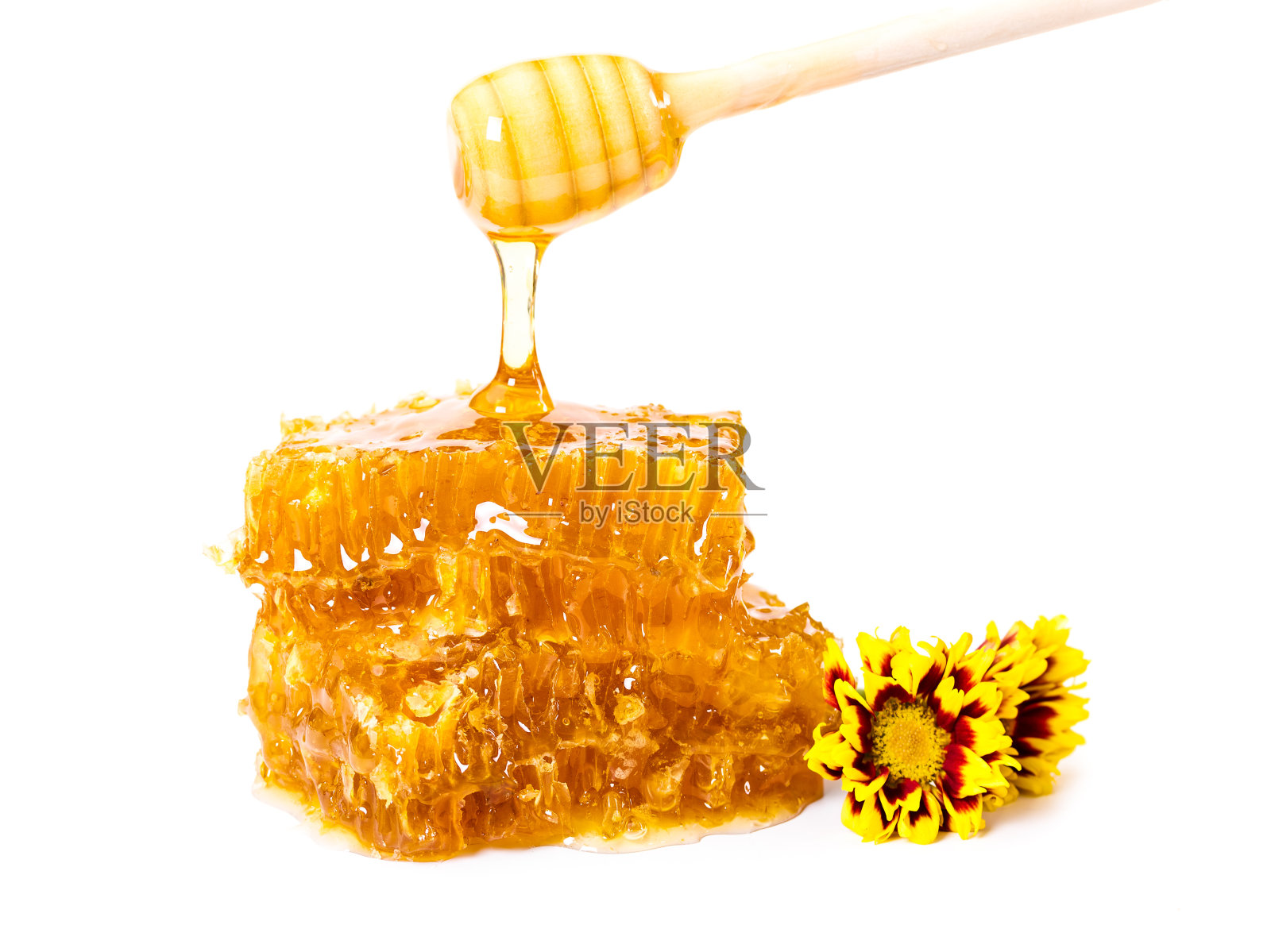 有树枝和花朵的甜蜜蜂巢照片摄影图片