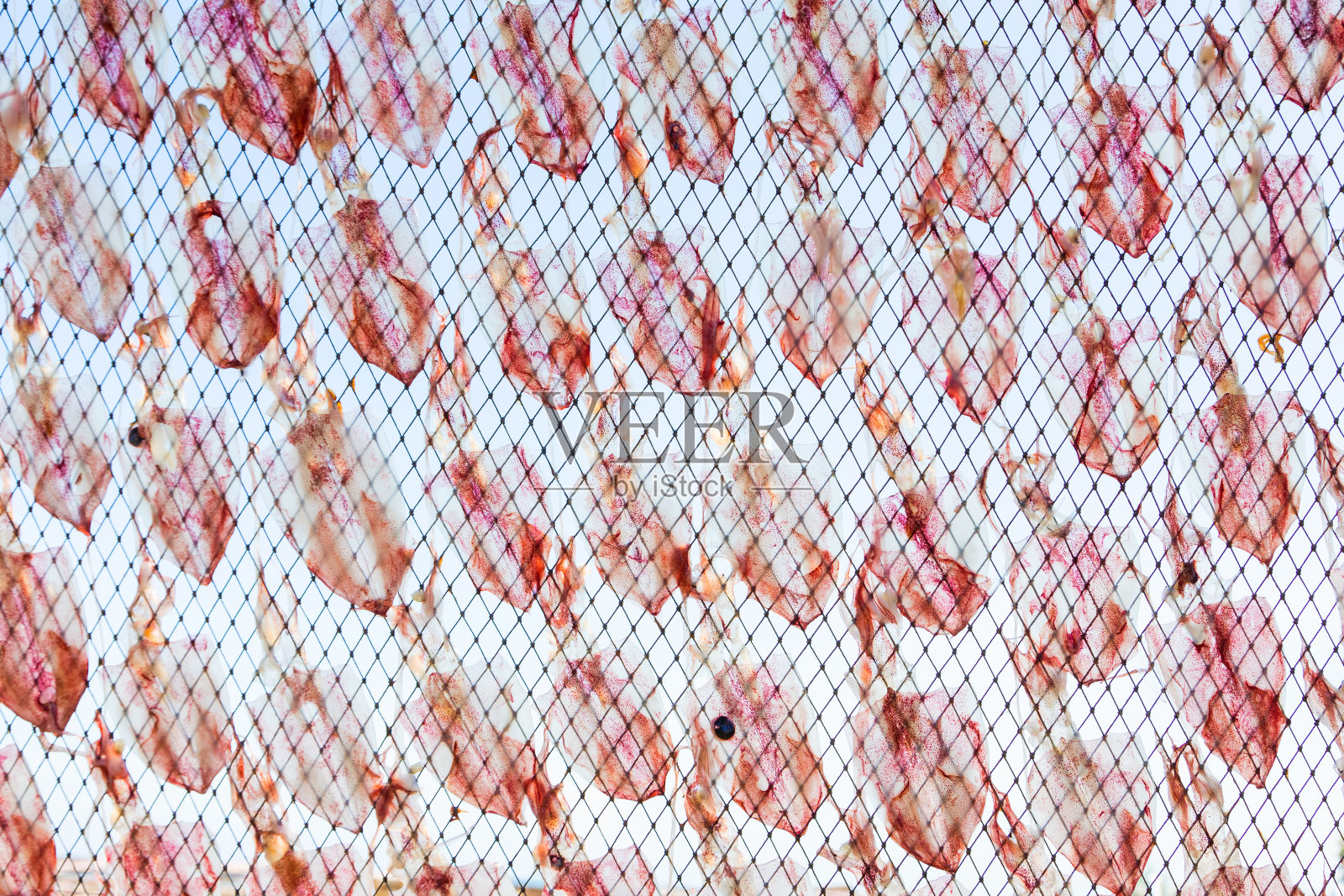 泰国的鱿鱼干。照片摄影图片