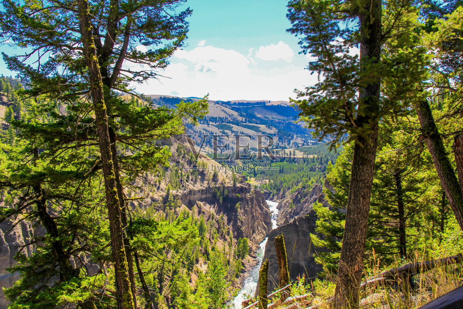穿过树林的河流照片摄影图片