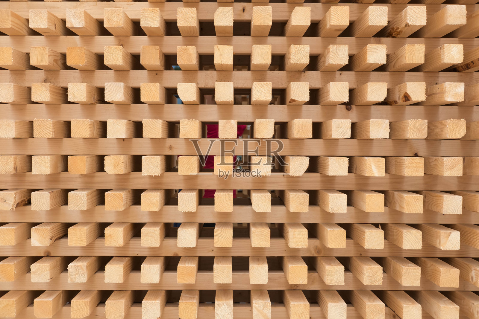 木头桩照片摄影图片