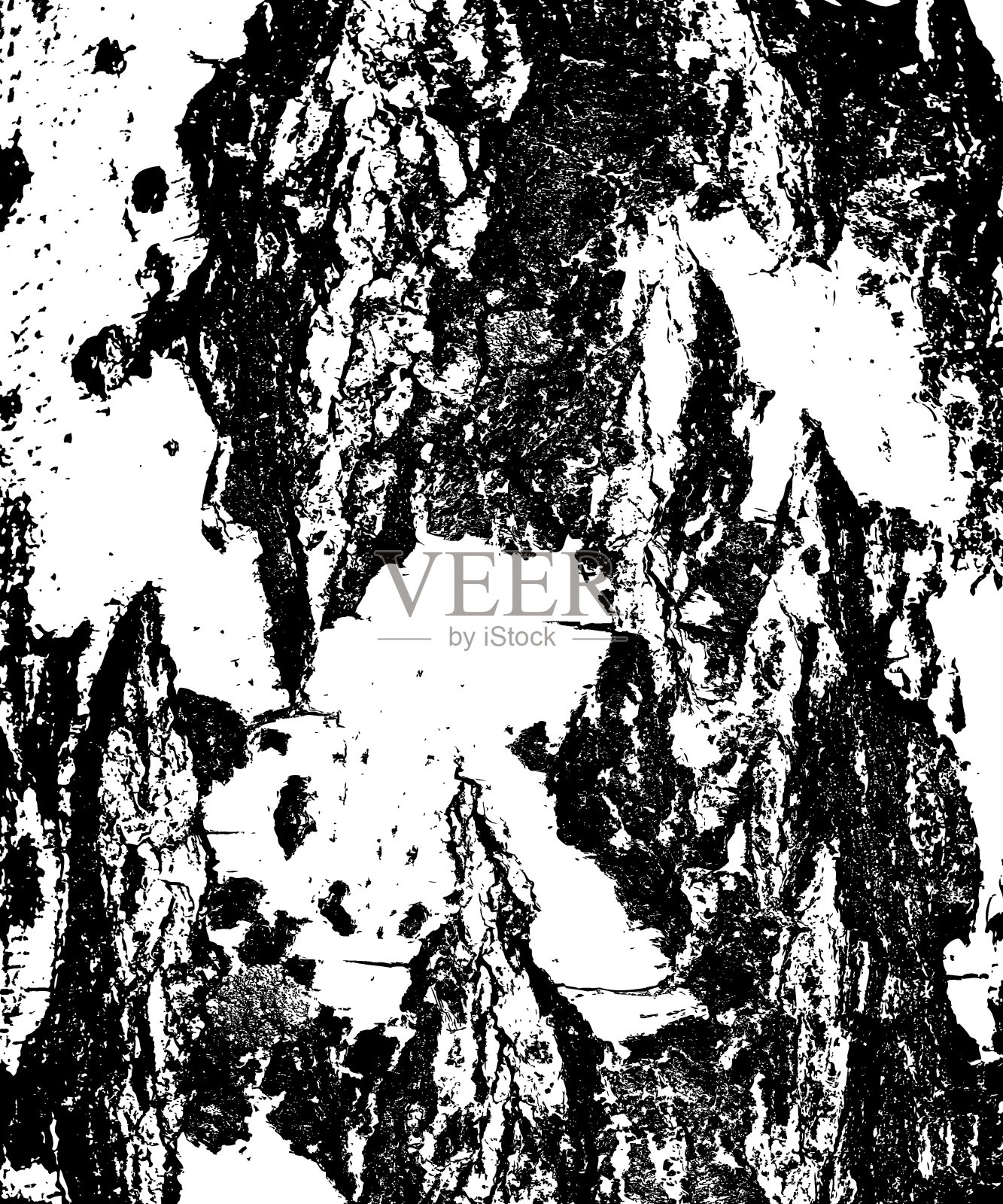 桦树树皮的裂缝纹理。矢量插图。插画图片素材