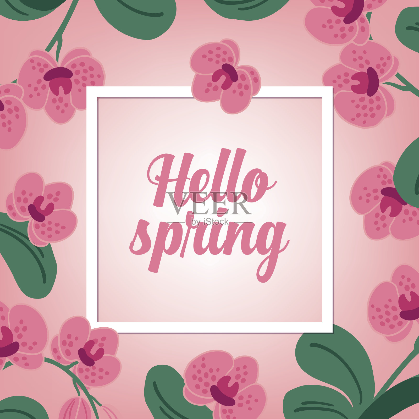 春季卡片与时尚的白色框架和兰花插画图片素材