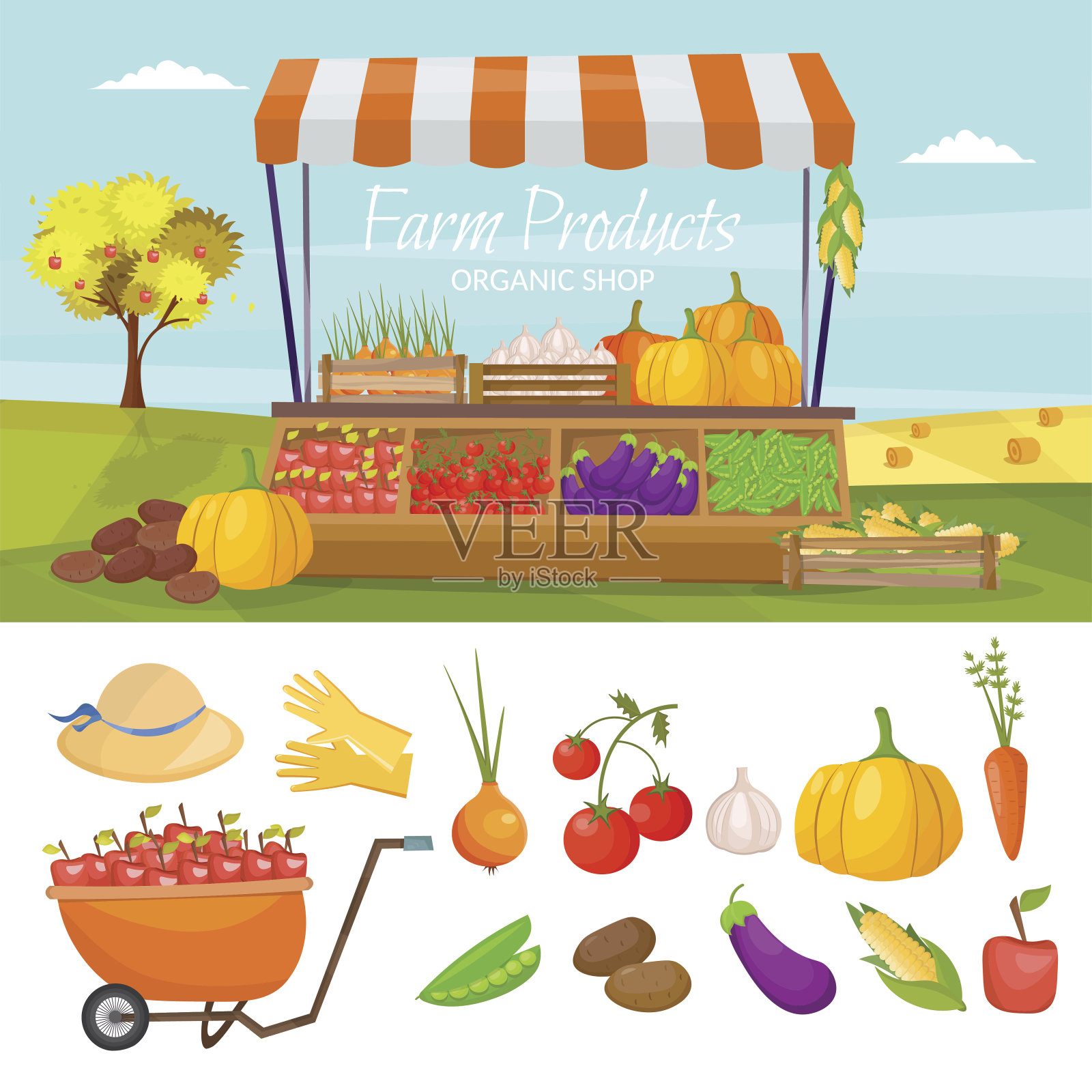 农贸市场水果店信息图向量集插画图片素材