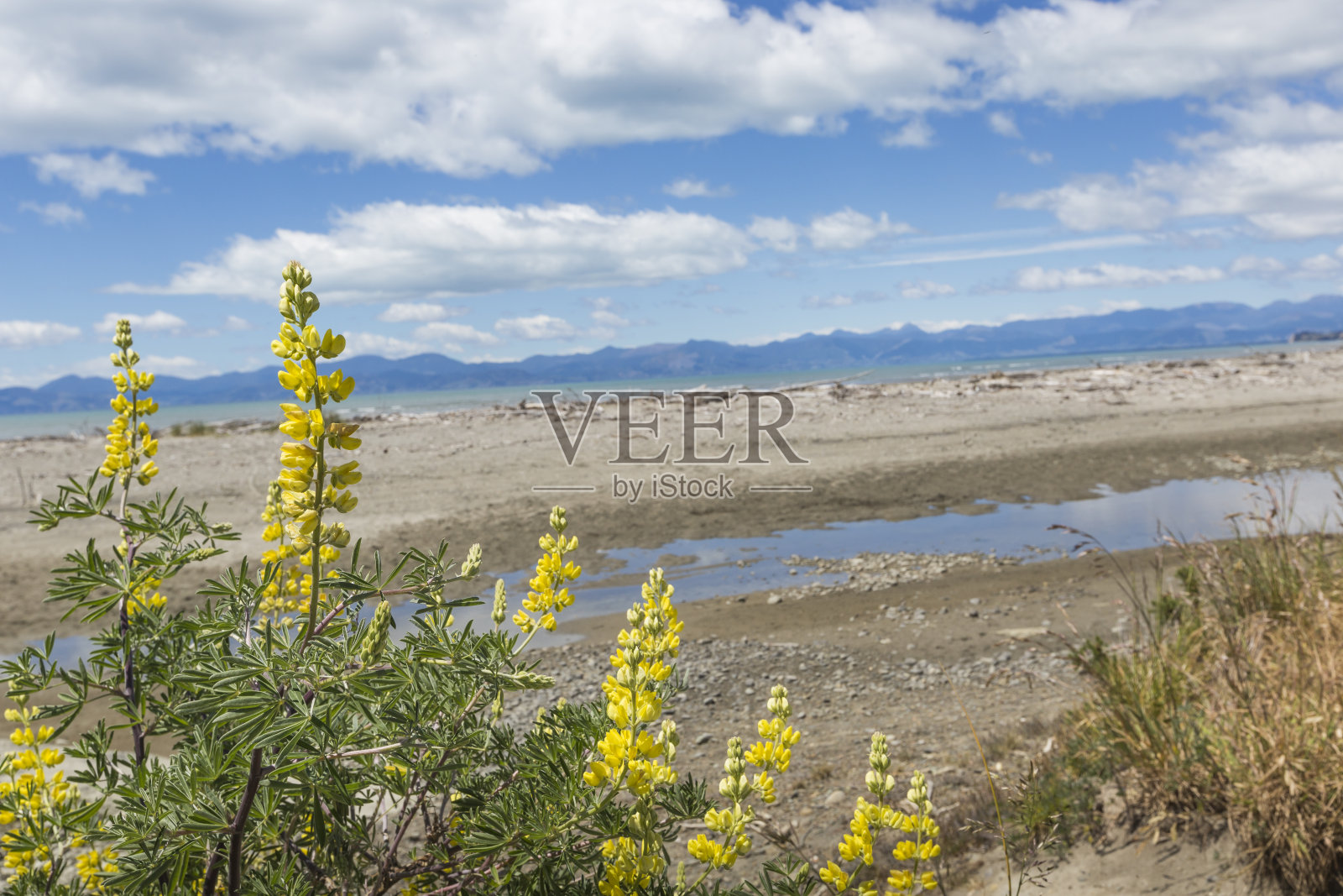 南岛亚伯塔斯曼国家公园平静的海面照片摄影图片