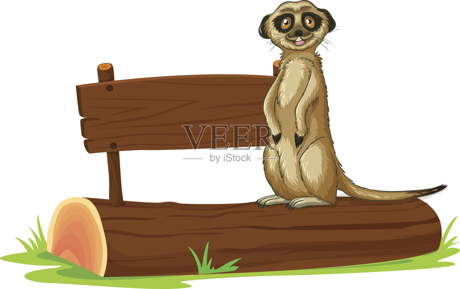 猫鼬插画图片素材