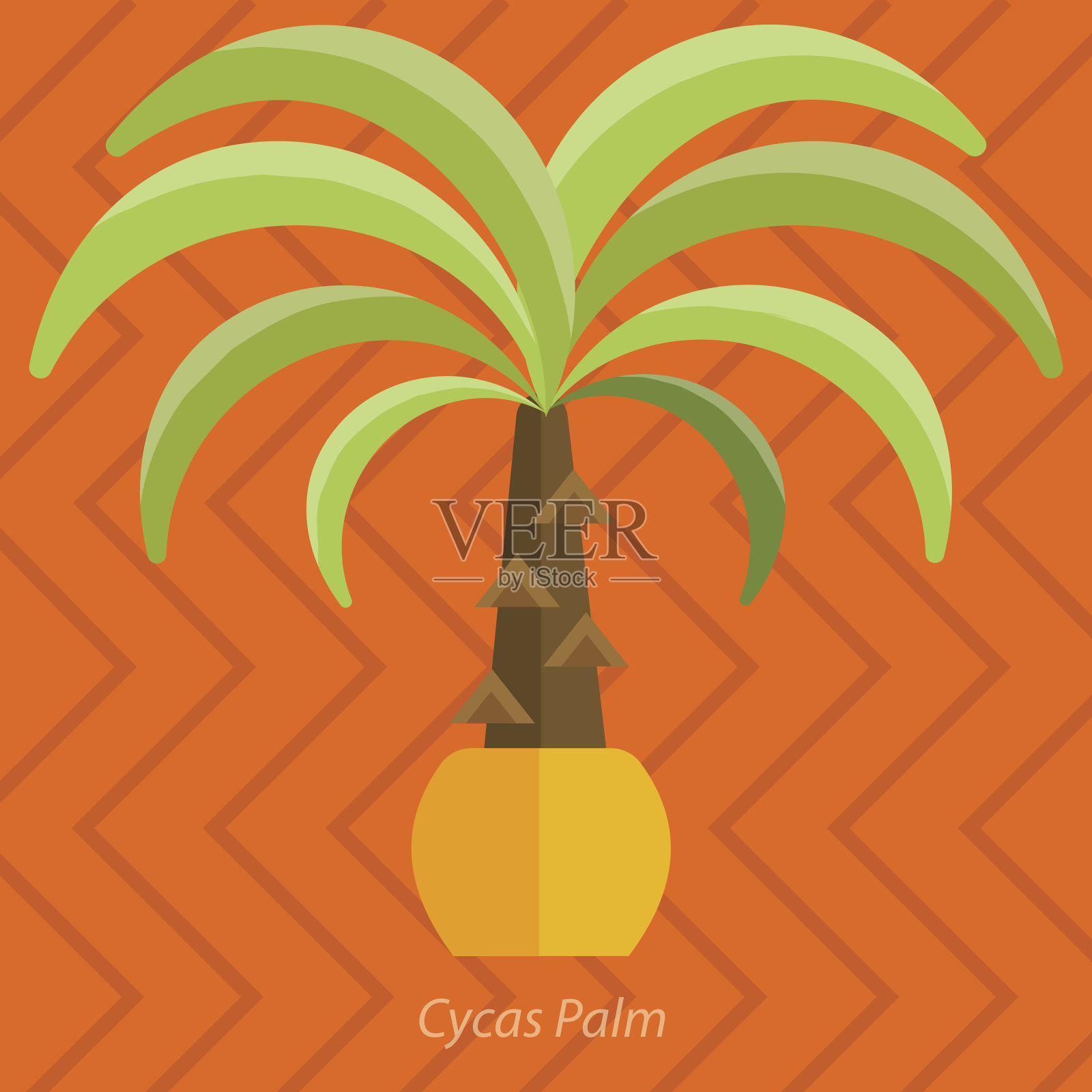 非洲的植物。棕榈树，鲜花和绿草，白色的背景插画图片素材