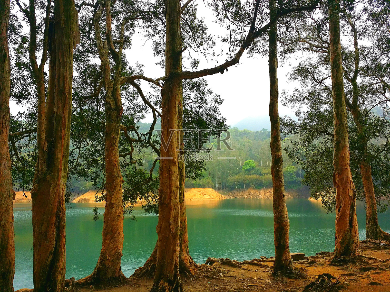 菠萝坝自然教育径-香港老围照片摄影图片
