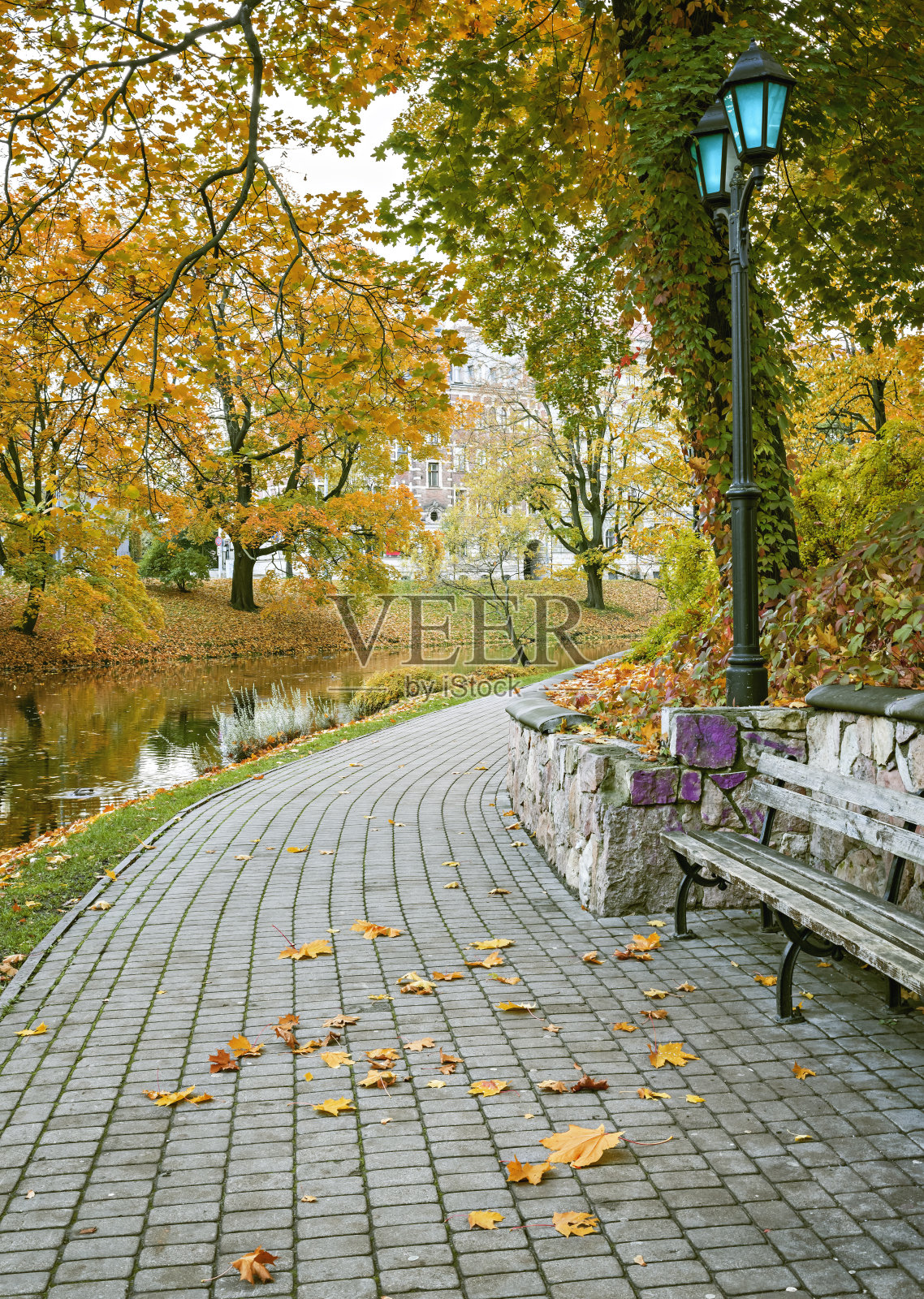 拉脱维亚里加中央公园的秋景照片摄影图片