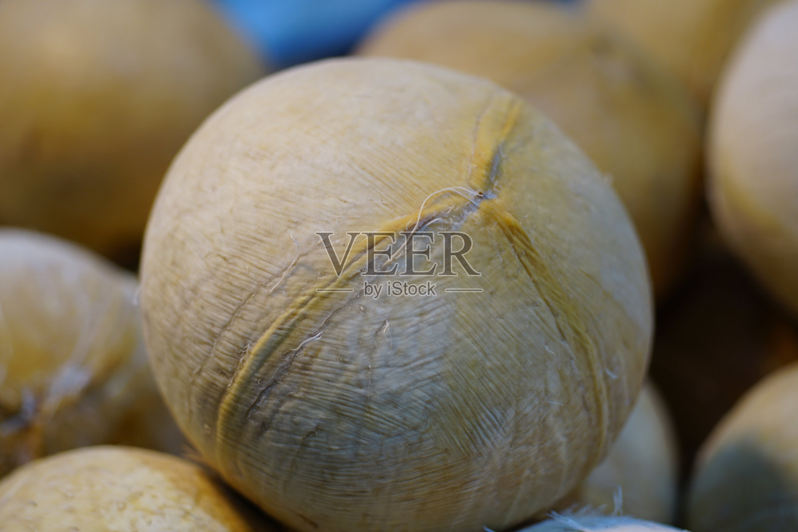 椰子照片摄影图片