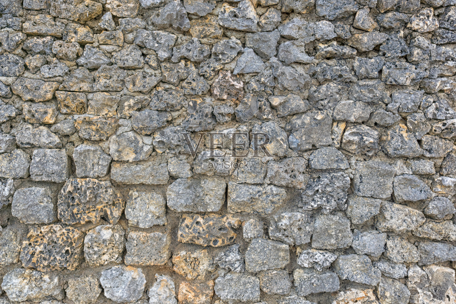 石墙珊瑚照片摄影图片