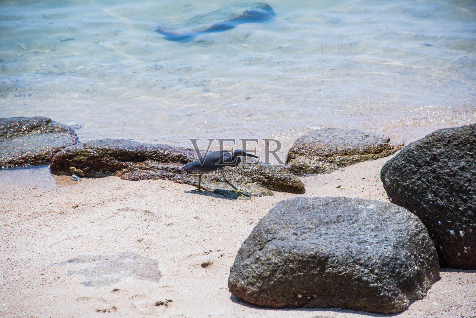 海景照片摄影图片