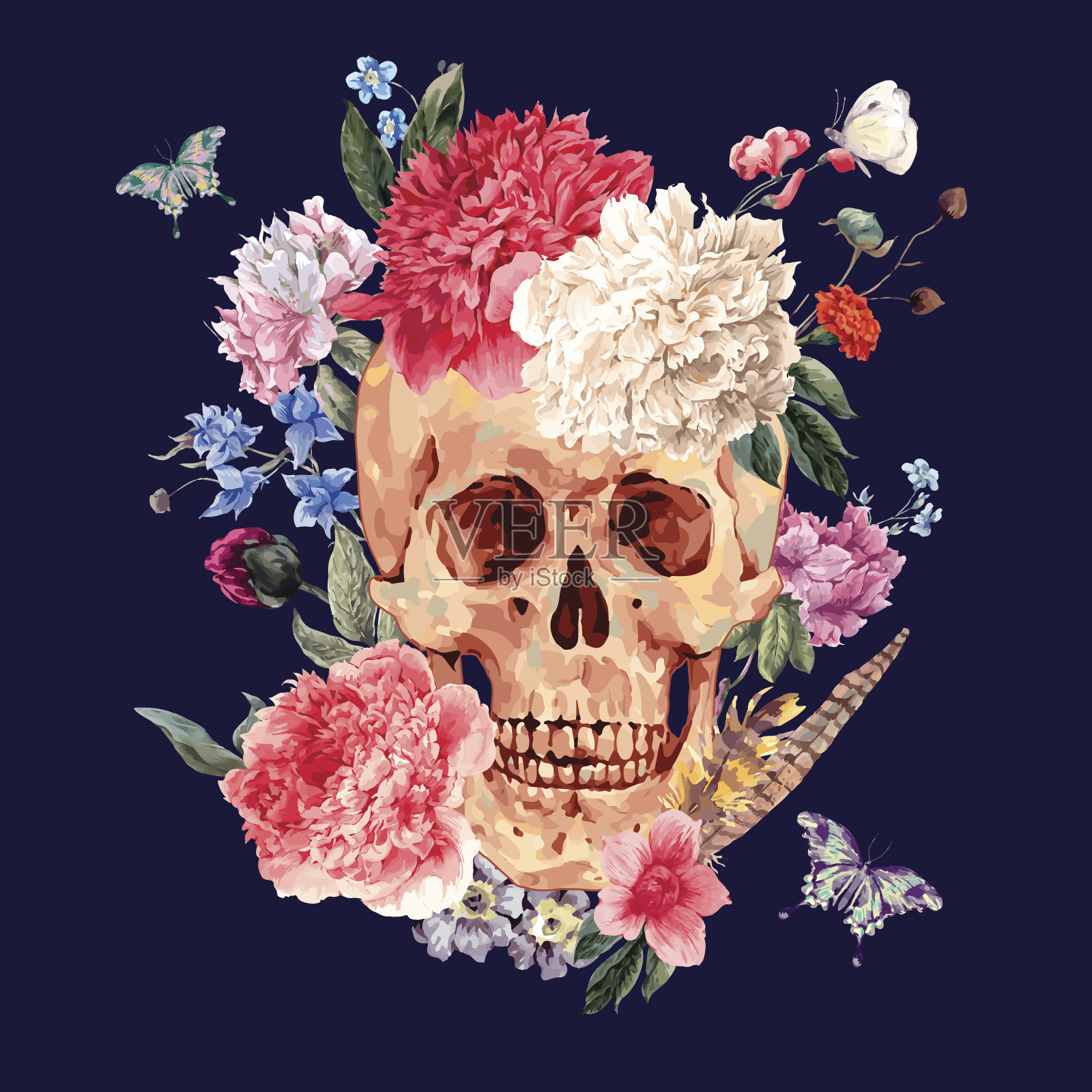 水彩矢量卡与头骨和粉红色牡丹插画图片素材