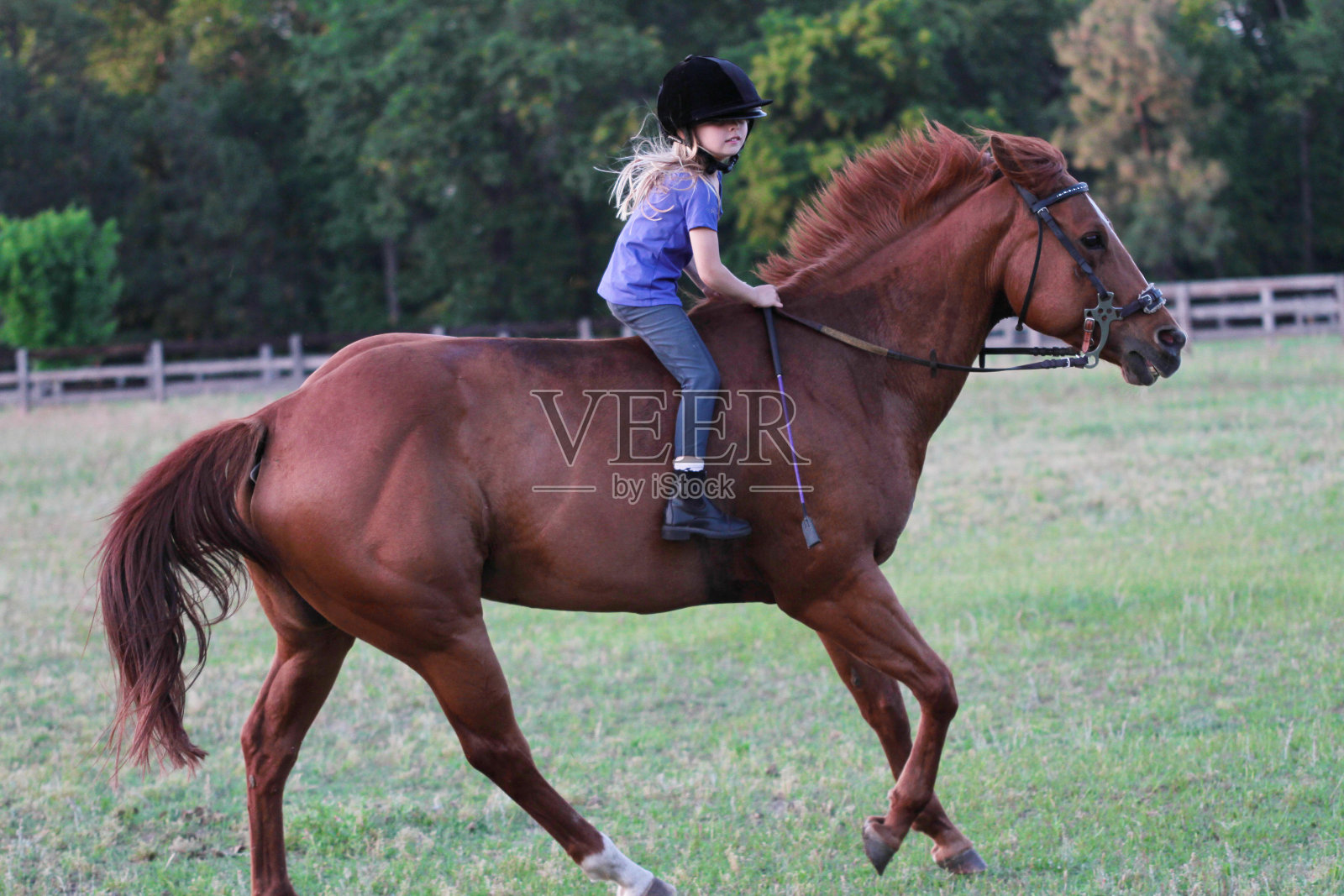 与风赛跑照片摄影图片