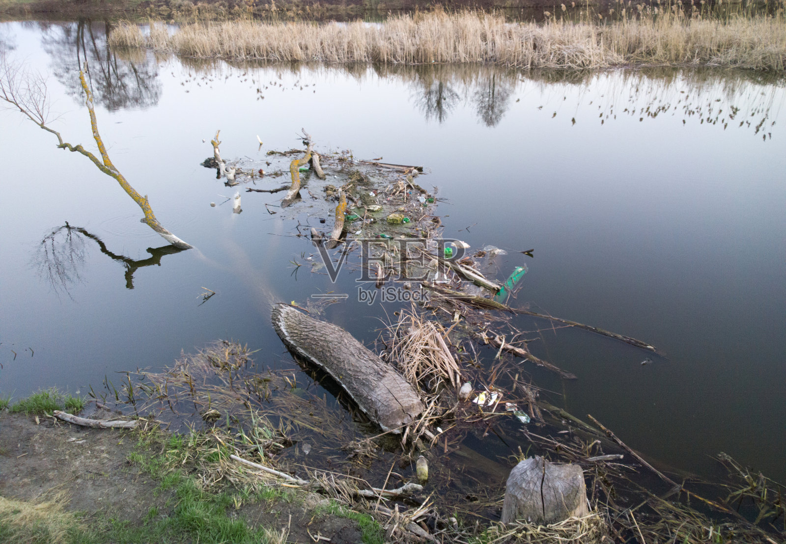 河流污染。照片摄影图片