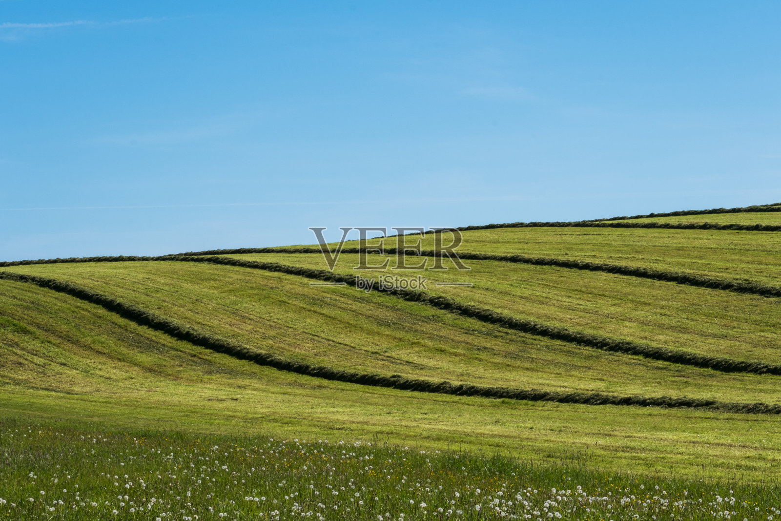 德国巴伐利亚州西南部,照片摄影图片