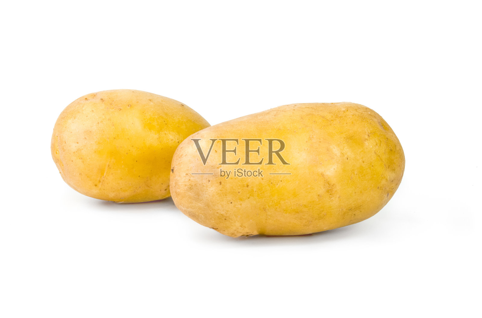 两个土豆照片摄影图片