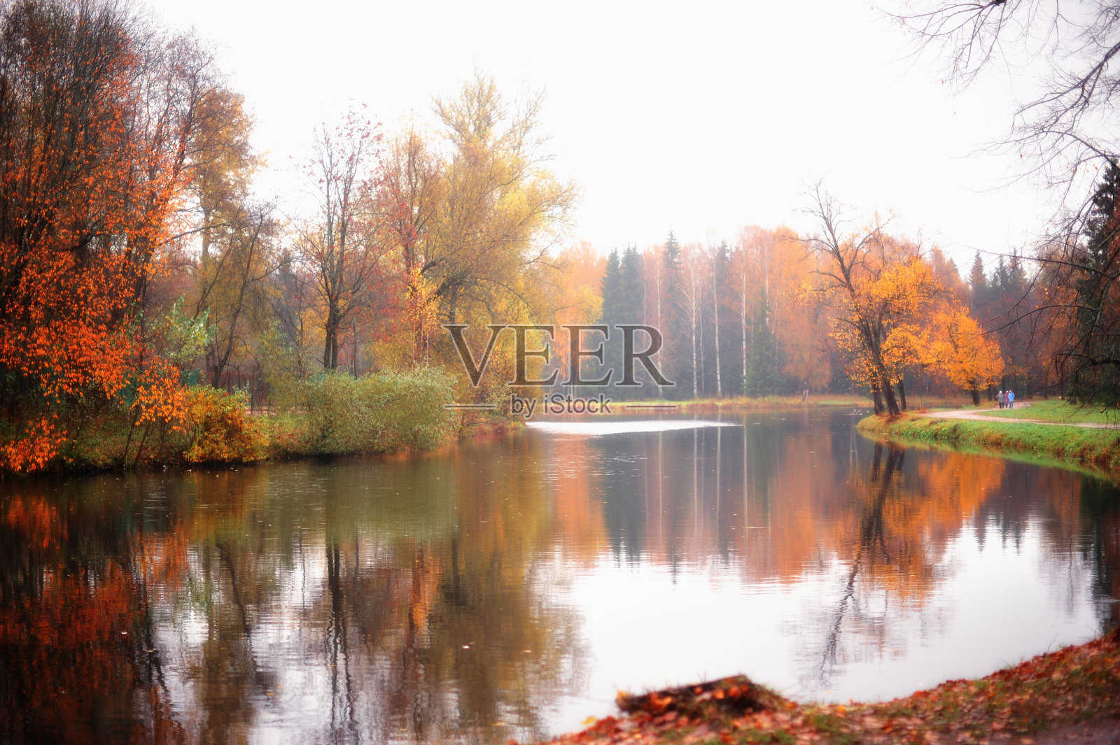 公园里有雾照片摄影图片