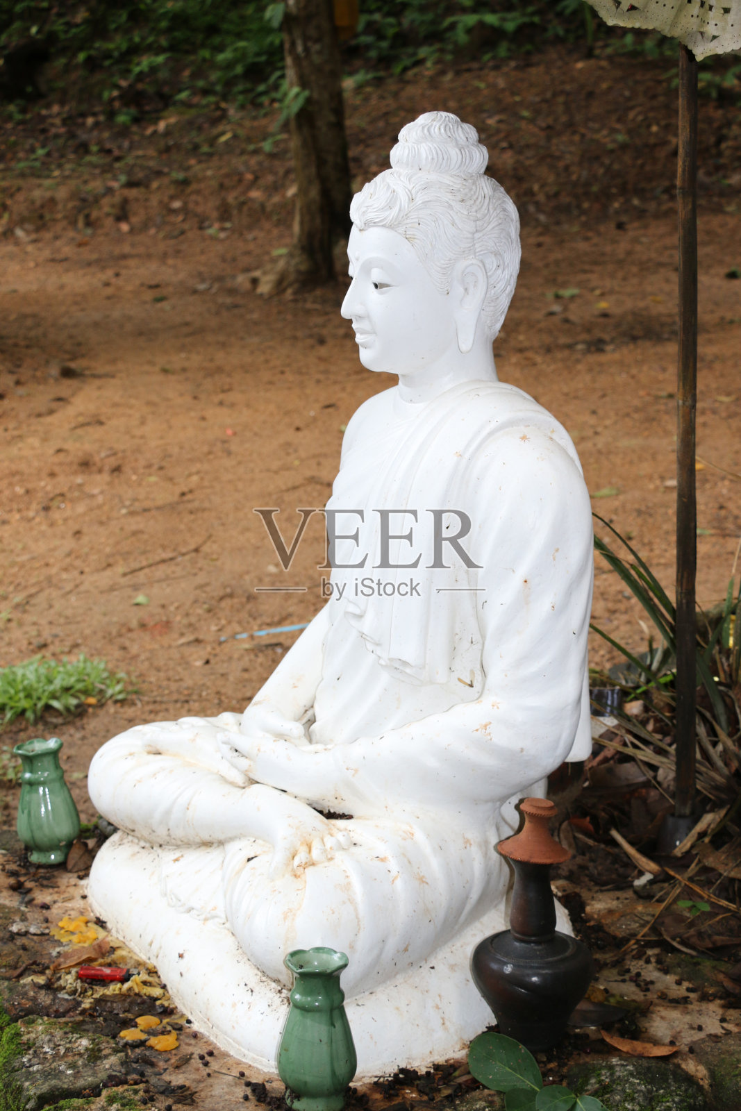 布达照片摄影图片