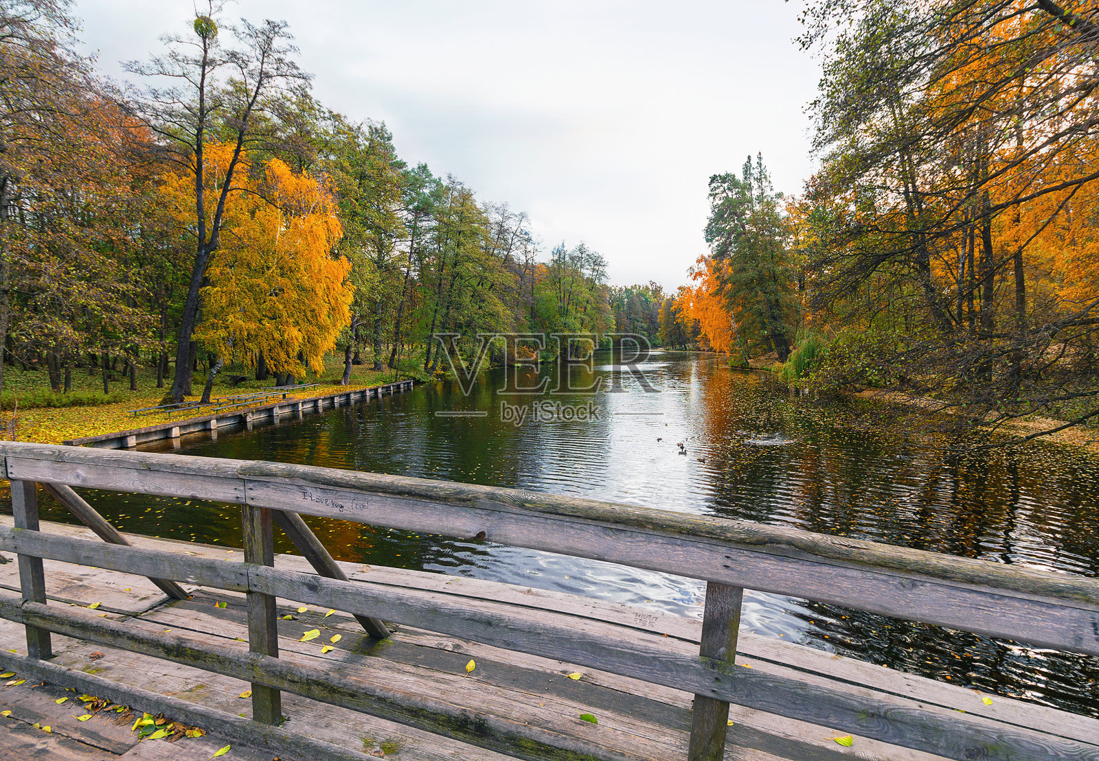 桥在秋天公园的池塘上照片摄影图片