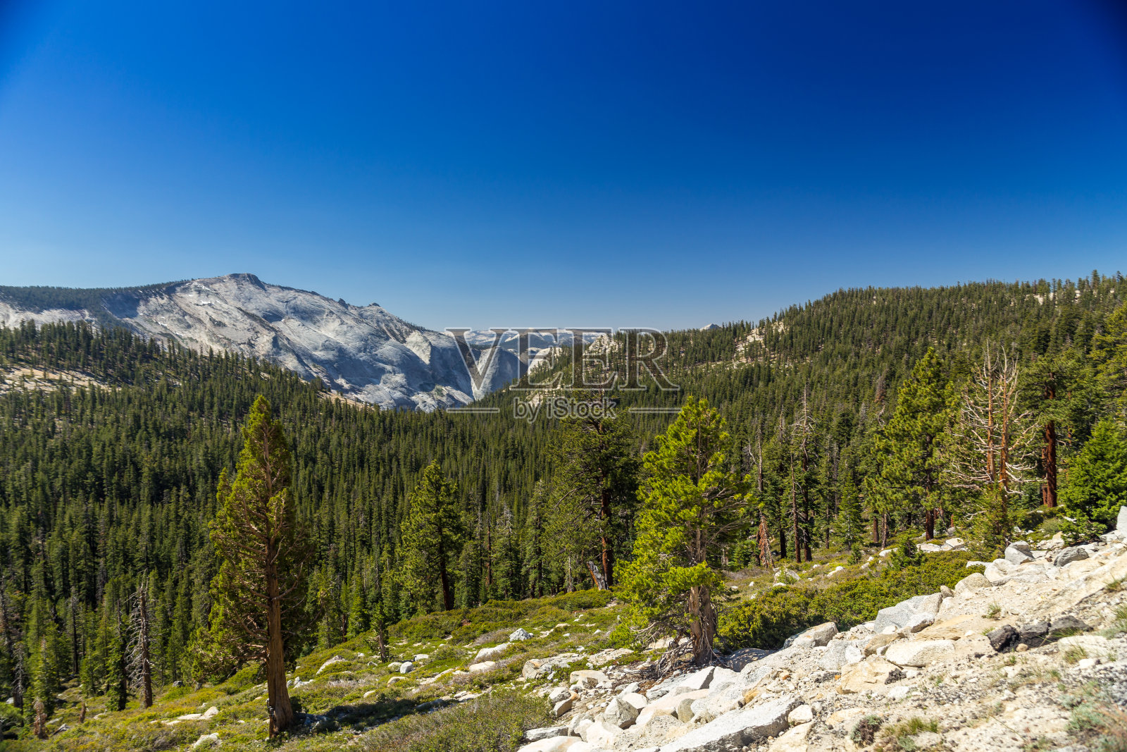 泰奥加高中的入学率通过照片摄影图片