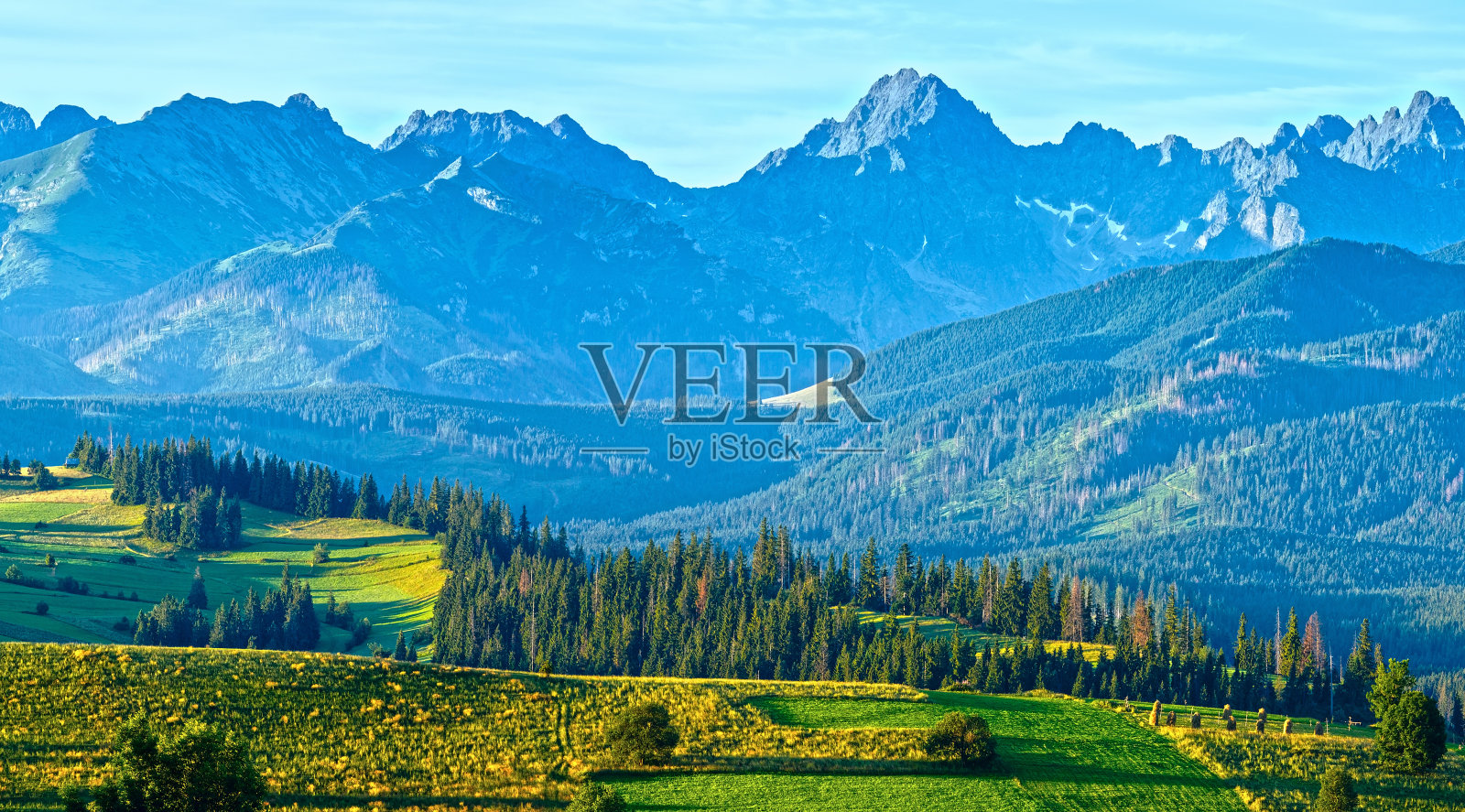 夏日山村全景(波兰)照片摄影图片