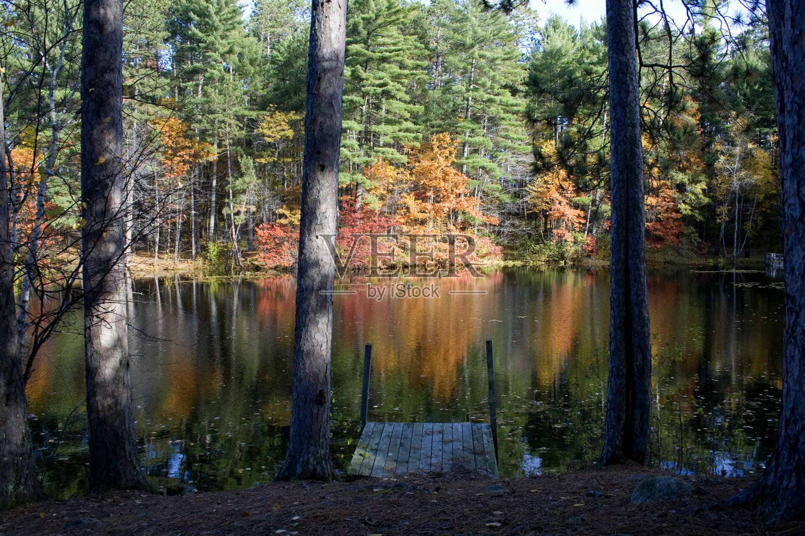 思考3照片摄影图片