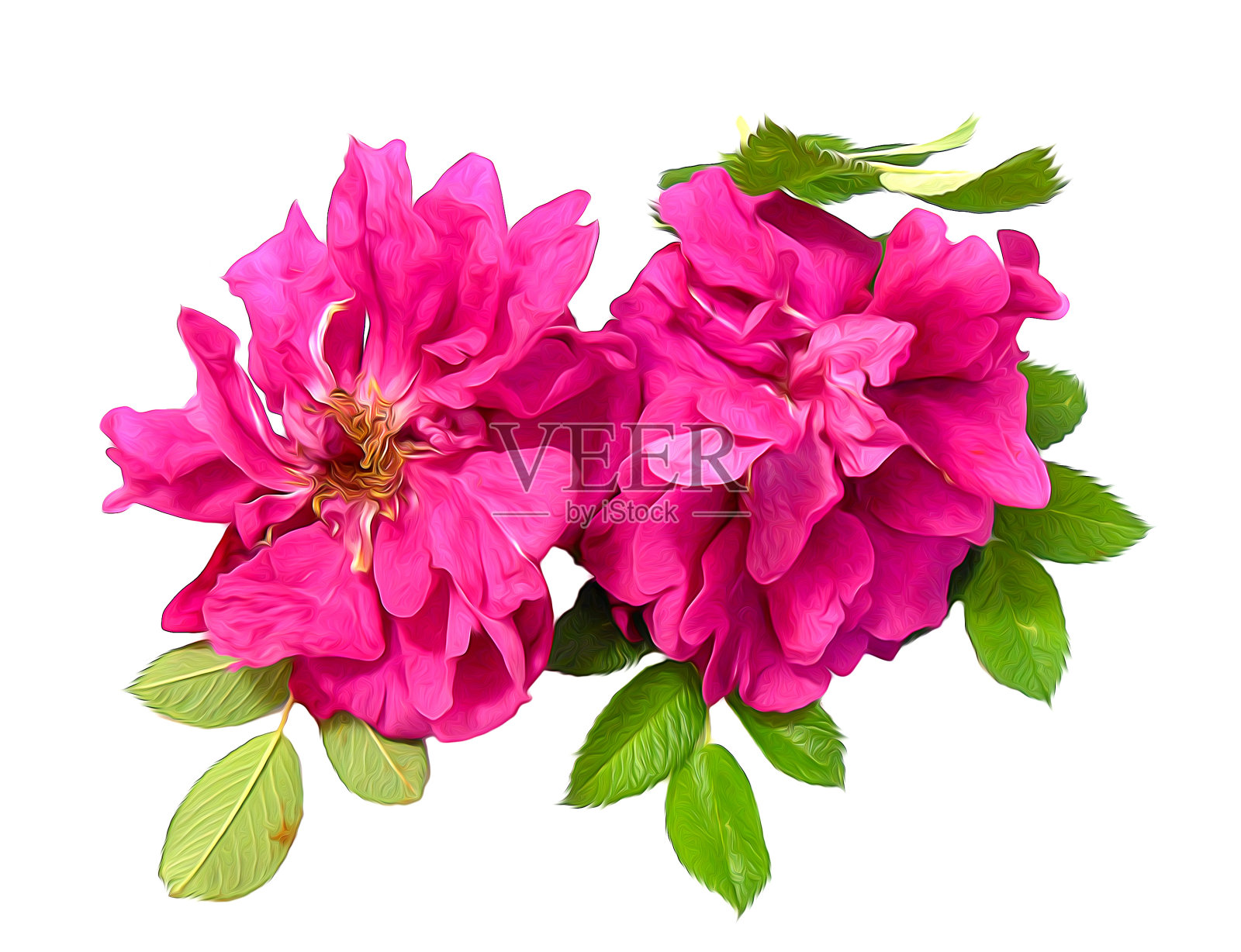 照片处理毛巾纸玫瑰照片摄影图片