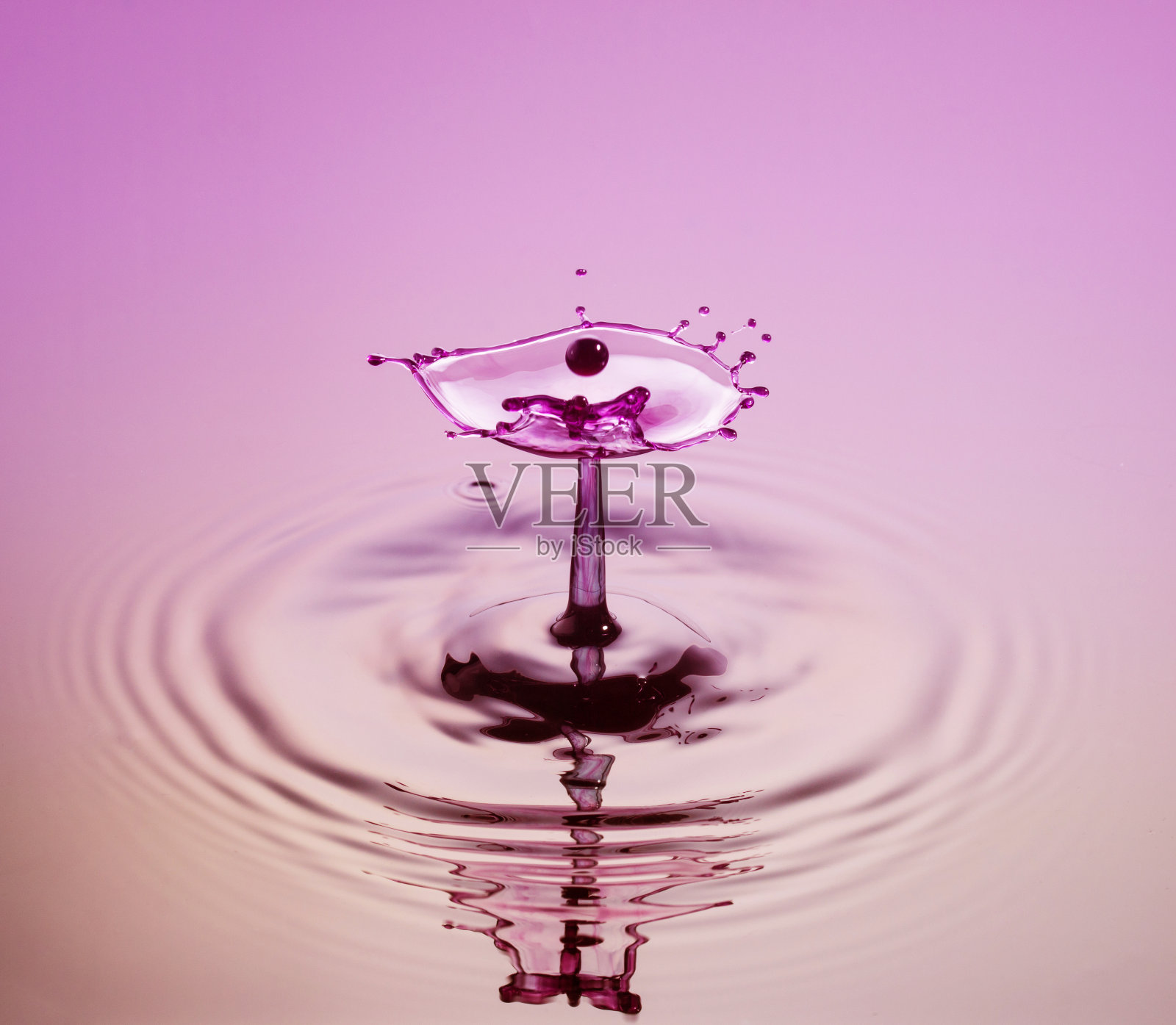 紫红色花照片摄影图片