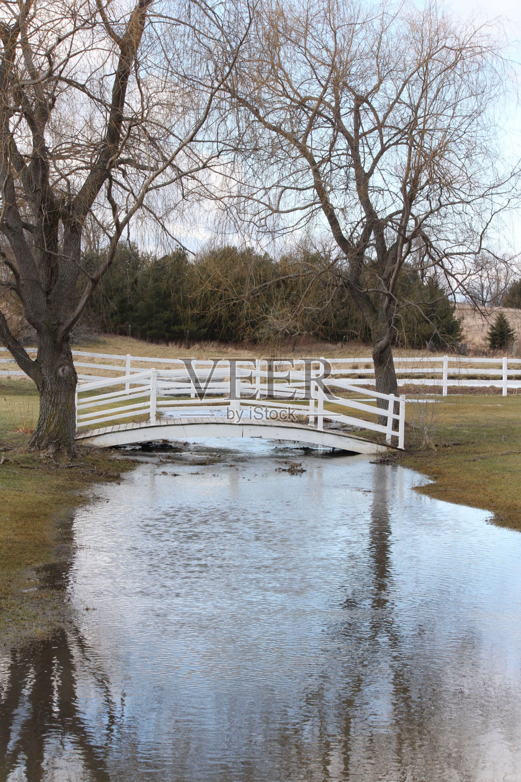 桥白木照片摄影图片