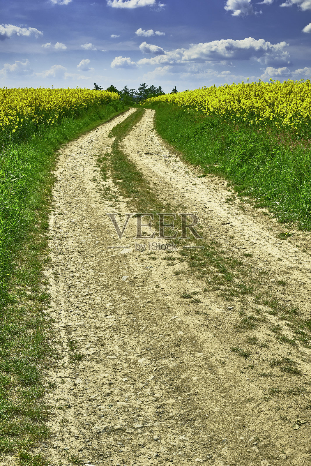 土路和油菜花照片摄影图片