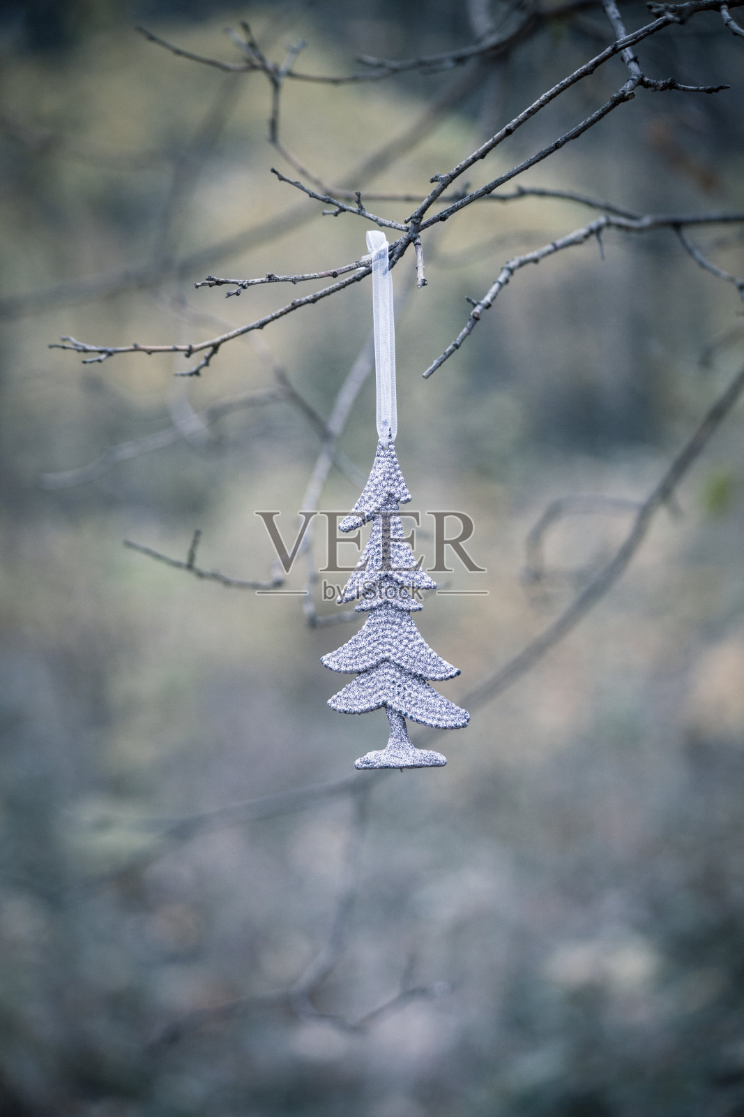 圣诞树装饰挂在树枝上照片摄影图片