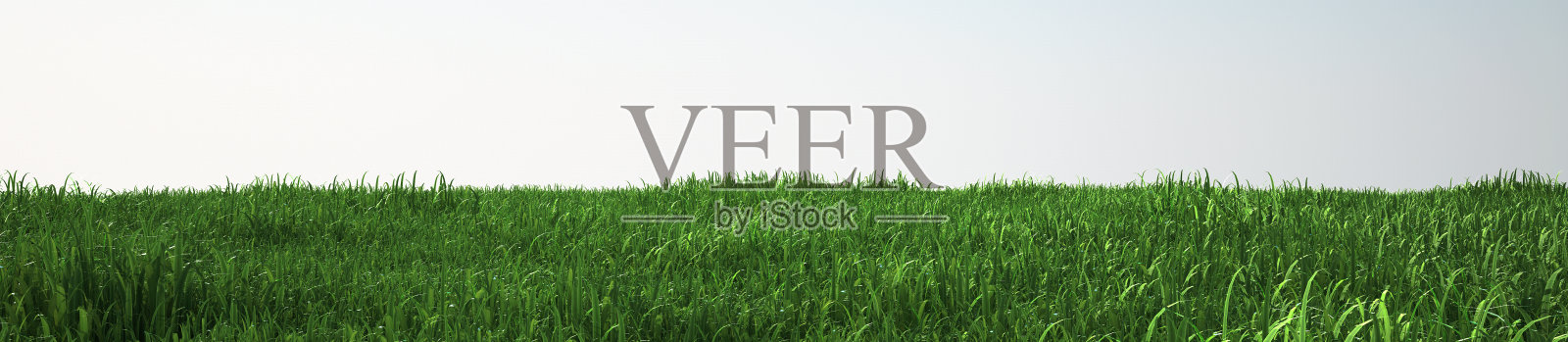 草地柔软，透视图照片摄影图片