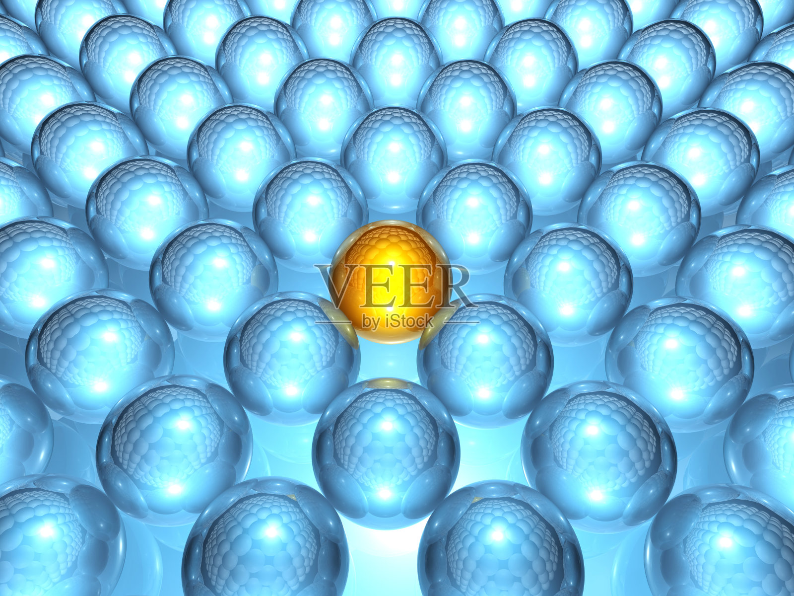 一个是不同的照片摄影图片