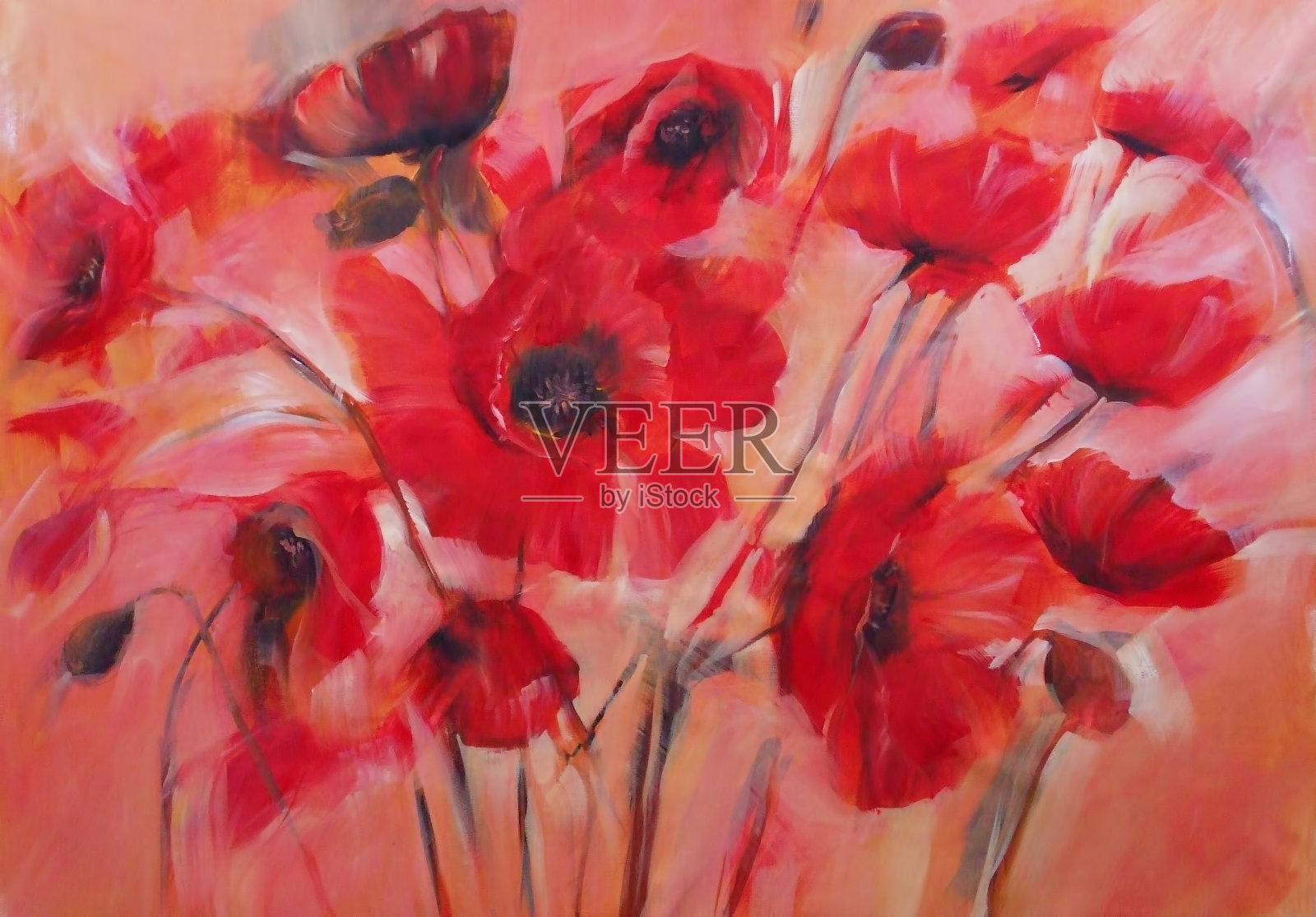 罂粟花手工绘画插画图片素材