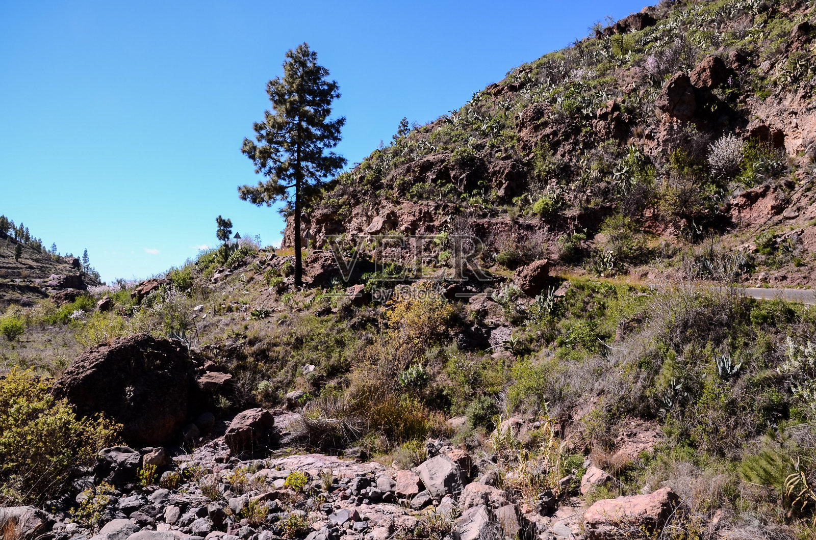 大的山谷照片摄影图片