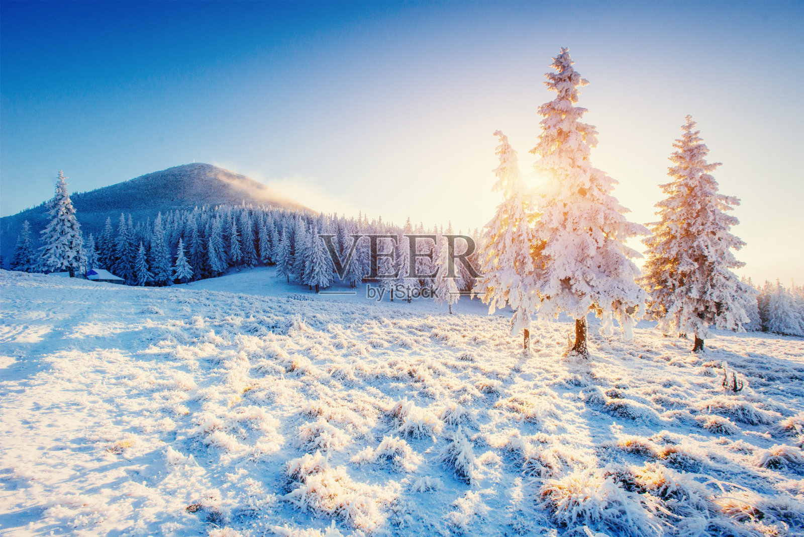 乌克兰山区的冬季美景。照片摄影图片