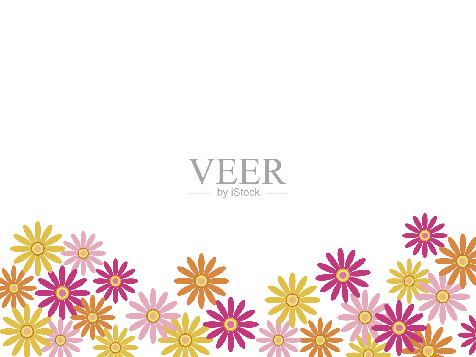 非洲菊插画图片素材