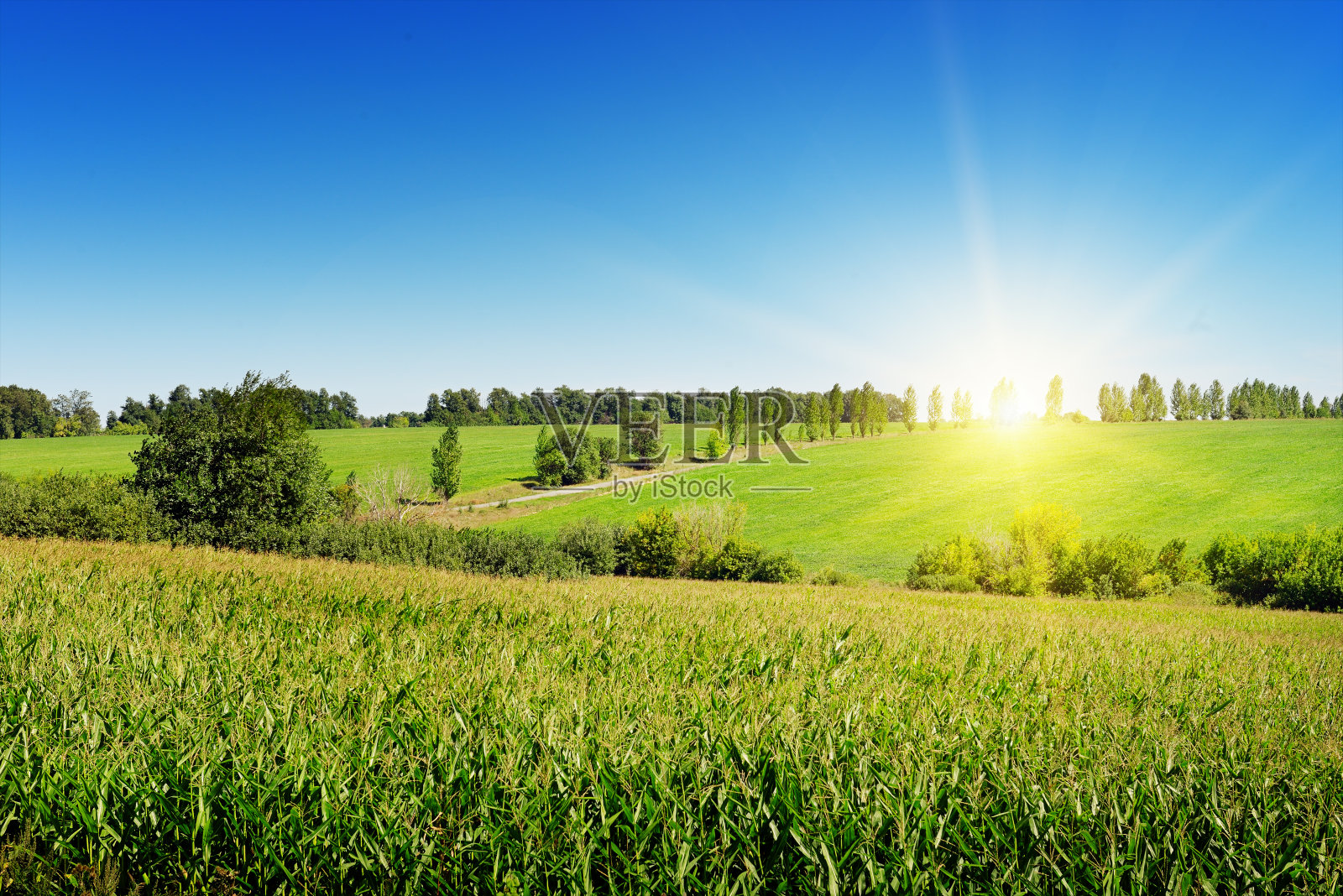 田野上的日出照片摄影图片