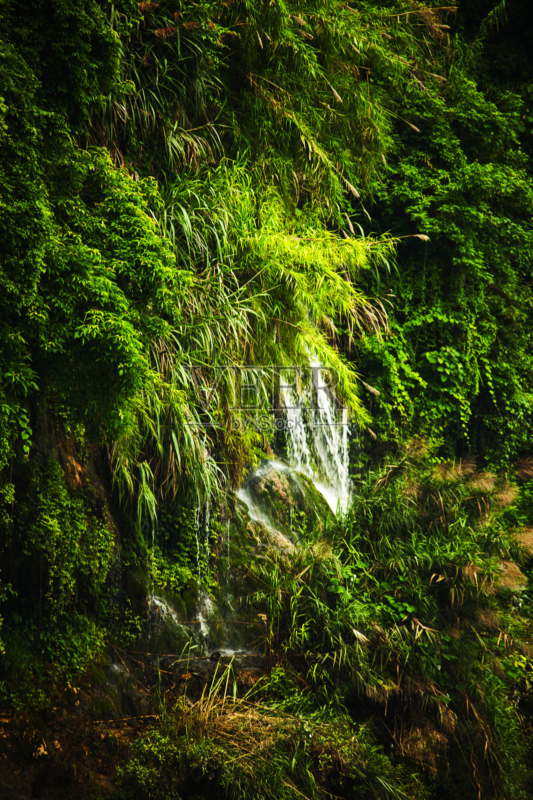 水和绿色照片摄影图片