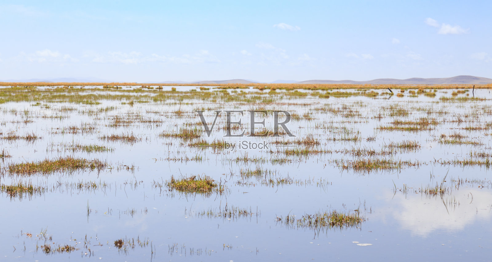 湿地照片摄影图片