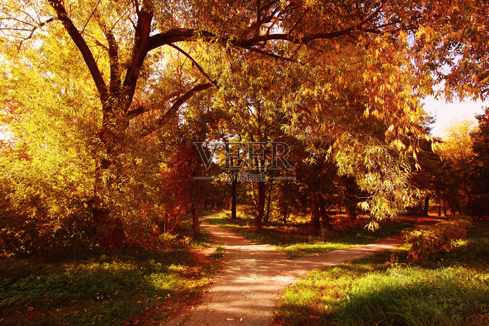 色彩斑斓的秋天照片摄影图片