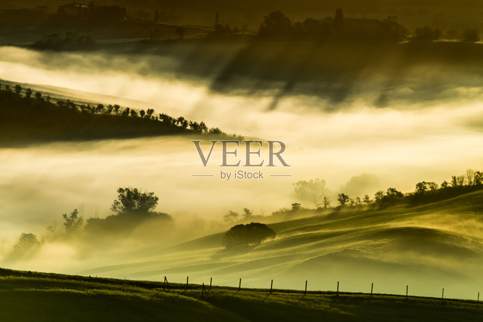 清晨多雾的草地，托斯卡纳照片摄影图片