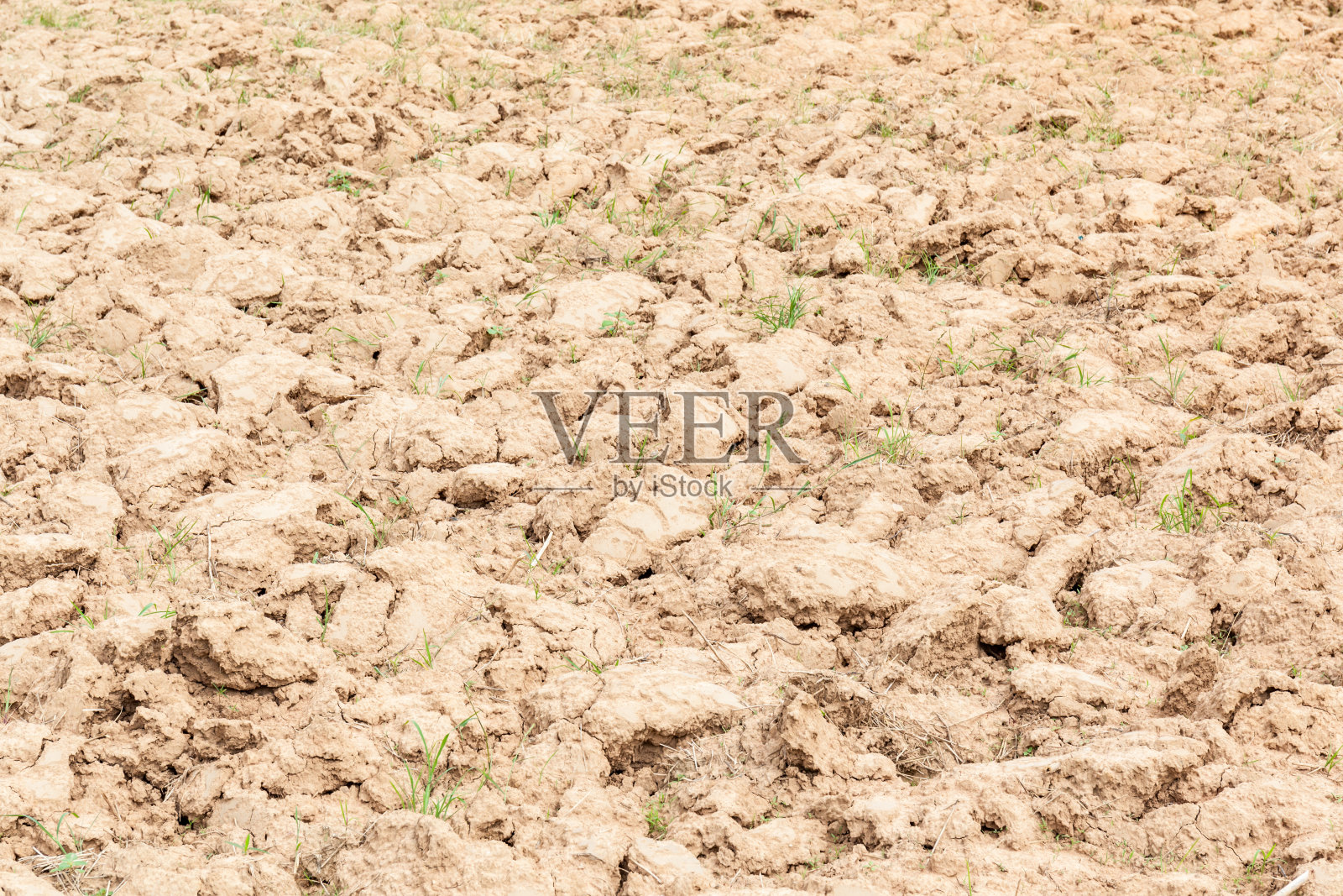 犁地前的准备工作。照片摄影图片