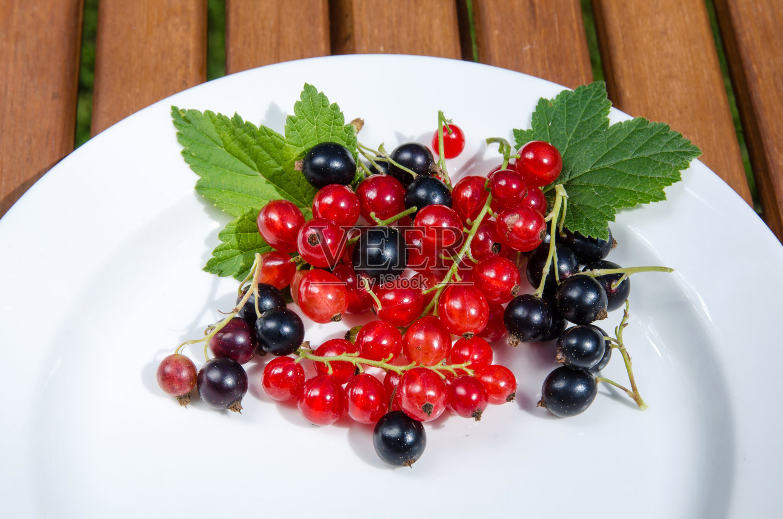 红色和黑色的加仑子照片摄影图片