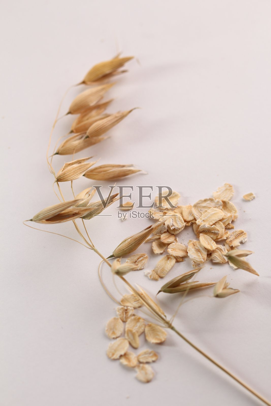 燕麦片照片摄影图片