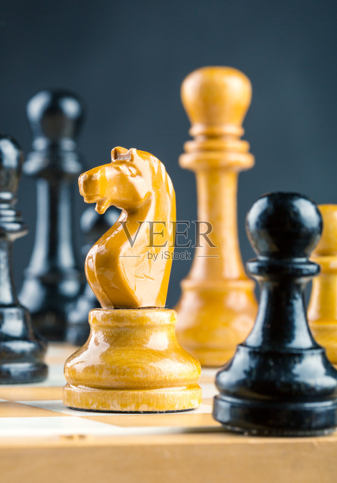 国际象棋的数据照片摄影图片